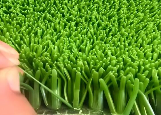 重力集中装置のための黄金分離草敷