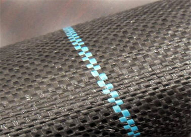 Geosyntheticの耐久の生地平らなヤーンのPPによって編まれるGeotextileはのための草を育ちます防ぎます